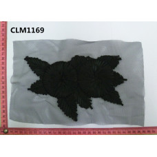 CLM1169