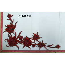 CLM1234