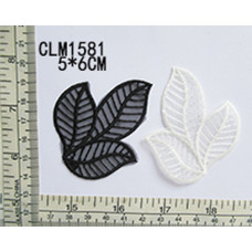 CLM1581 (2).jpg