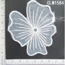 CLM1584.jpg