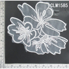 CLM1585.jpg