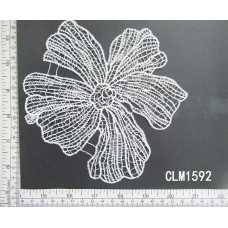 CLM1592.jpg