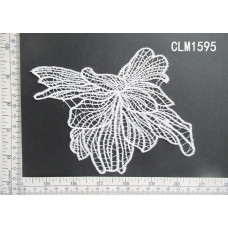 CLM1595.jpg