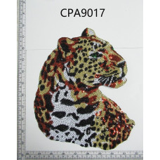 CPA9017