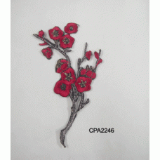 CPA2246