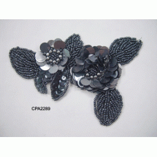 CPA2289