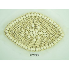 CPA2957