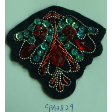 CPA3829