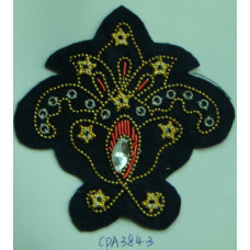 CPA3843