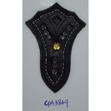 CPA3869