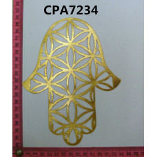 CPA7234