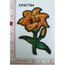 CPA7784