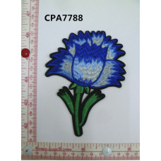CPA7788