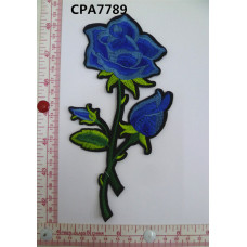 CPA7789