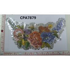 CPA7879
