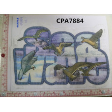 CPA7884