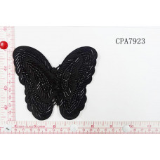 CPA7923.jpg