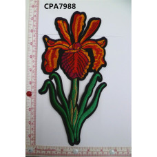 CPA7988