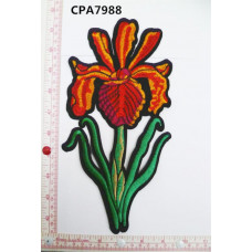 CPA7988