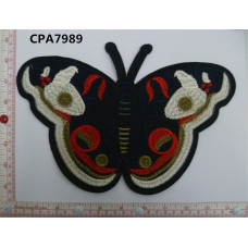 CPA7989