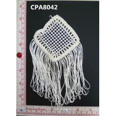 CPA8042