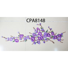 CPA8148.
