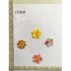 CPA9180.jpg
