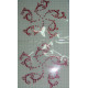 CPD0315redrose