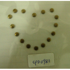 CPD0981