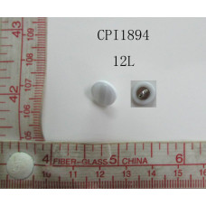 CPI1894