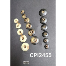 CPI2455.jpg