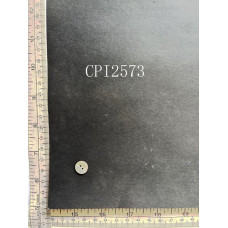 CPI2573.JPG