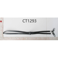 CT1293