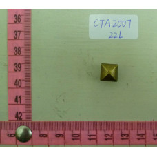 CTA2007