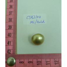 CTA2100