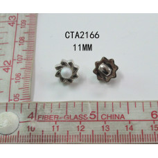 CTA2166