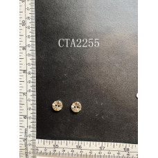 CTA2255.JPG