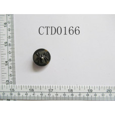 CTD0166-2.JPG