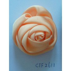 CTF2611