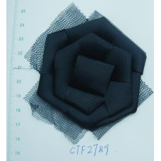 CTF2789