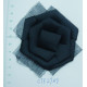 CTF2789