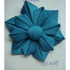 CTF3069