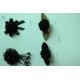 CTF3163-3165
