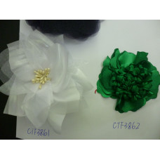 CTF3861-62