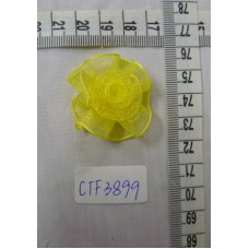 CTF3899