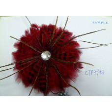 CTF3953