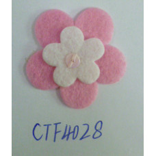 CTF4028