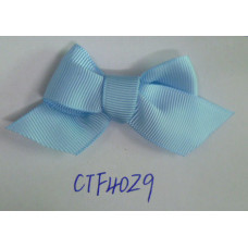 CTF4029