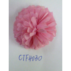 CTF4030