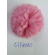 CTF4030